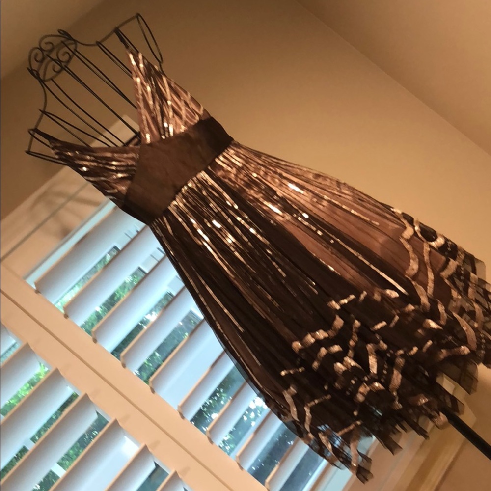 Adrianna Papell Evening Dress